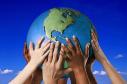 nonprofit experience